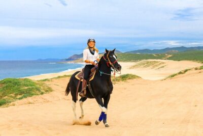 Beach Camel Ride and Sky Bike in Cabo - Arrival at Cactus Park: check-in, herpetarium, and the safety talk