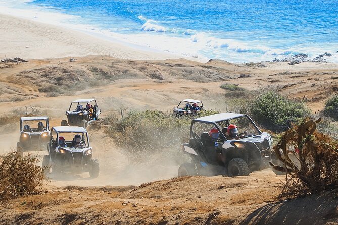 Beach UTV and Sky Bike Combo in Cabo - Sky Bike at altitude plus an ecological hike: the calmer thrill