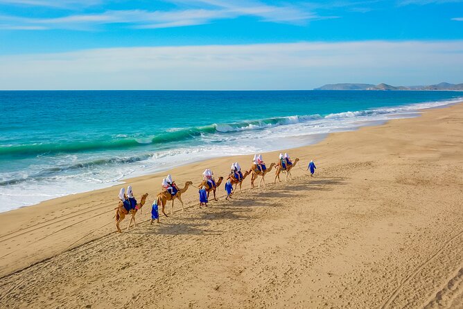 Boat Ride to the Arch and Beach Camel Ride in Cabo San Lucas - Key things that make this tour worth your time