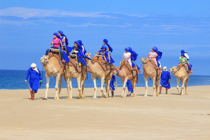 Boat Ride to the Arch and Beach Camel Ride in Cabo San Lucas - Who this tour fits best