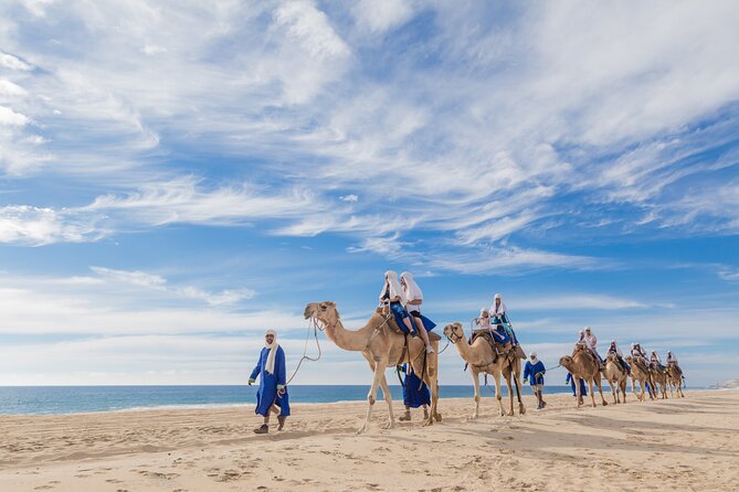 Cabo Beach Camel Ride, Mexican Buffet and Tequila Tasting - What this tour really feels like in 5 hours