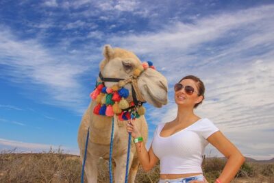 Cabo Beach Camel Ride, Mexican Buffet and Tequila Tasting - Tierra Sagrada Ranch: the oceanfront setting you’re paying for