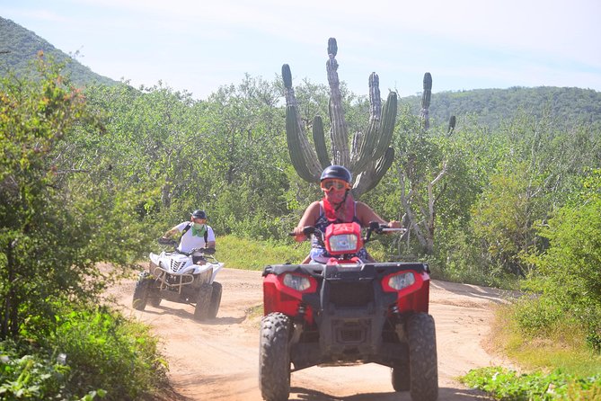 Cabo Original Real Baja 1000 Tour (Single ATV) - Key highlights before you go