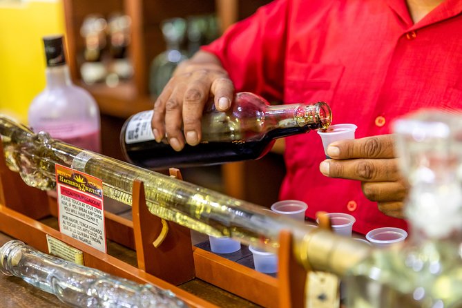 Cabo San Lucas Shopping, Tequila Tasting, and Snorkel Tour - Snorkeling Gear, Open-Ocean Conditions, and Currents