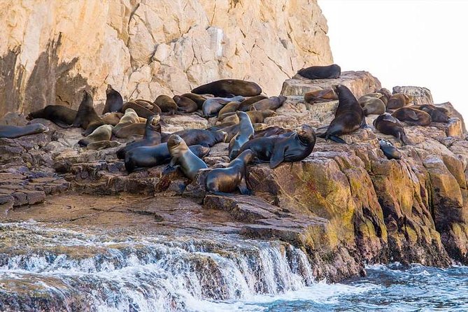 Cabo San Lucas sightseeing and Famous Arch tour - The Boat Ride to El Arco: Where the Famous Part Becomes Real