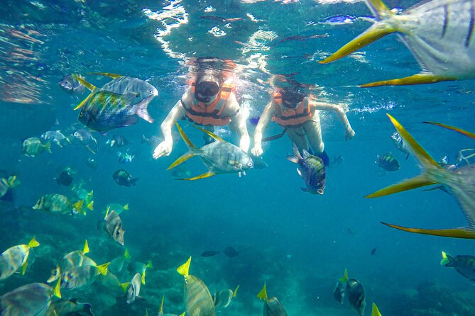 Half Day Cabo Snorkel Adventure with Lunch and Open Bar - Lunch and Open Bar: How Food Fits the Swim Schedule
