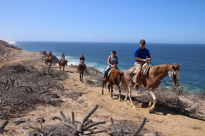 Horseback Riding Experience in Rancho San Cristobal - Who Should Book This Horseback Ride (and Who Might Skip It)