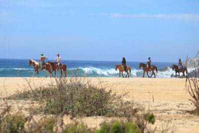 Los Cabos ATV and Pacific Horseback Riding Combo Tour - Where you’ll start: Migriño Beach pickup and getting to the ranch
