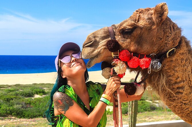 Los Cabos Camel Ride Adventure On The Beach - From your hotel or cruise port to Playa Migrino