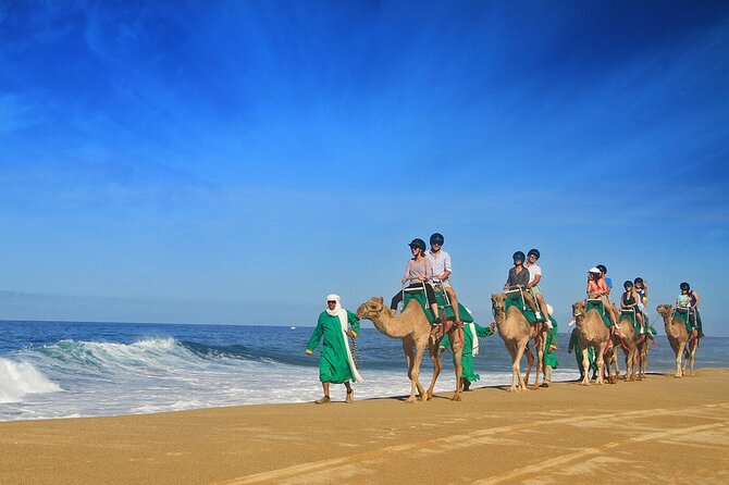 Los Cabos Camel Ride Adventure On The Beach - The ecological reserve hike: good walking time, not a museum stroll