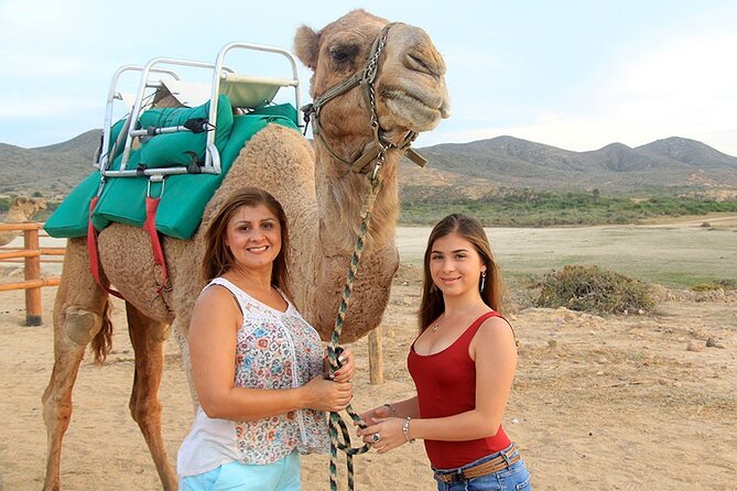 Los Cabos Camel Ride Adventure On The Beach - Lunch right after the ride: simple, filling, and included