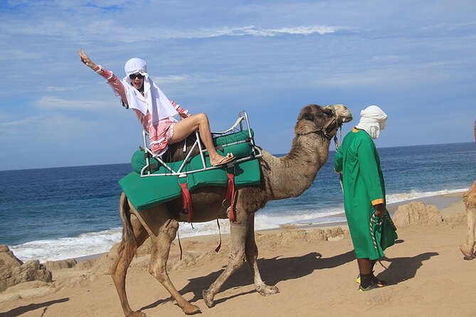 Los Cabos Camel Ride Adventure On The Beach - Transportation, language, and the stuff that affects comfort
