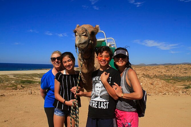 Los Cabos Camel Ride Adventure On The Beach - Price and value: $109 plus the park fee