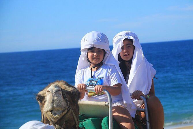 Los Cabos Camel Ride Adventure On The Beach - Who should book this camel ride (and who should skip it)