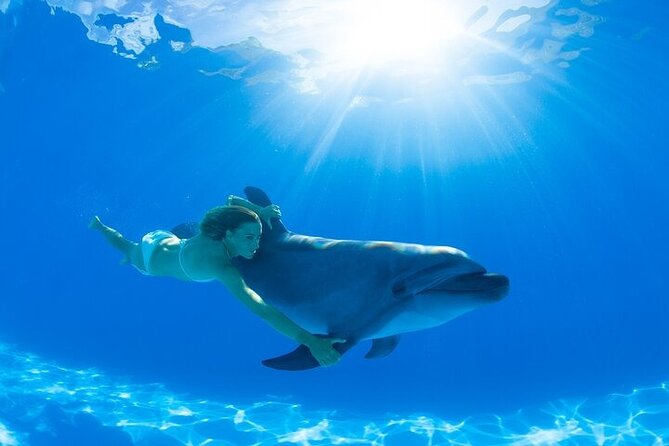 Must-DO The only and Unique Natural Space Dolphin Encounter Cabo - The Habitat Ride: A Small Nature Bonus Without the Long Tour