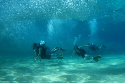 Private Dive Boat for Certified Divers - Cabo San Lucas - From Cabo Marina to the Water in Under an Hour