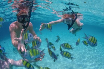 Private Luxury Sailing Cruise in Los Cabos with Lunch and Open Bar - Past El Arco and Lover’s Beach: why this route is worth it