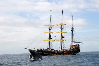 Whale-Watching Pirate Ship Cruise in Los Cabos - Getting to La Terminal de CaboMarina: how to avoid the most common stress
