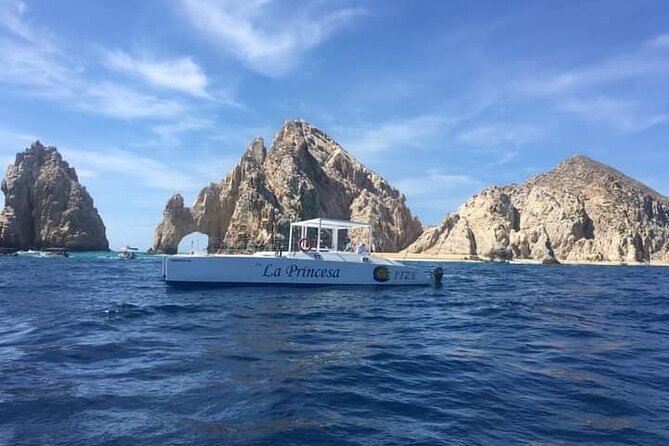 Whale Watching Tour in Los Cabos - What You Learn While You Look: Migration, Mating, Species ID